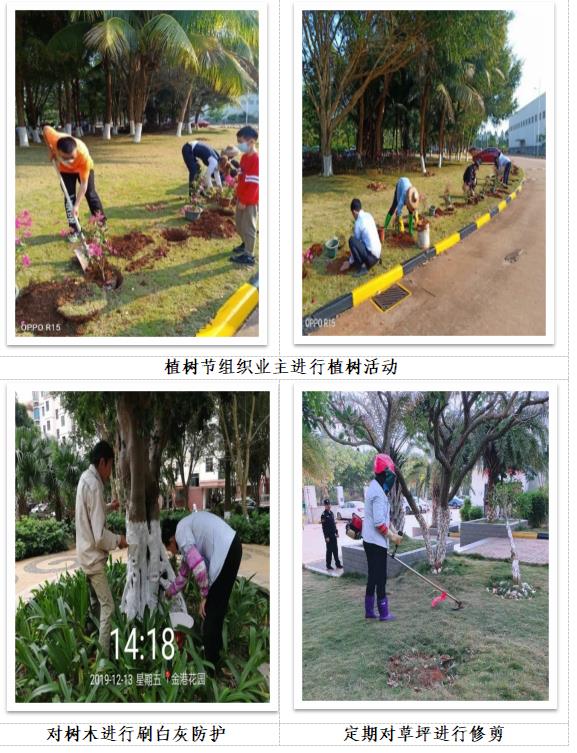 植树节组织业主进行植树活动